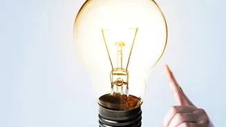 Small Investor Guide: Reading A Startup's DRHP Before Its IPO