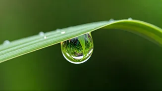 Clear These Water Pockets Before Problems Begin
