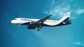 Planning Around India's New Tourism-Airline Partnership? Check International Visitor Routes