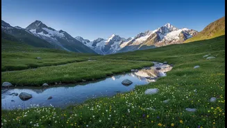Why Tropical Humidity Pushes Leisure Travelers Toward Cooler High-Altitude Alpine Ecosystem Journeys