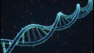 A 70,000-preprint Analysis: What Is New, what Matters and what Remains Unclear