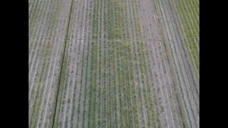 Regenerative Agriculture Boosts Soil Moisture and Crop Yields in Maharashtra
