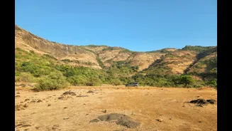 Maharashtra's Drought Crisis: Impact and Relief Measures