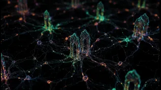 How cerebellar brain discovery utilizes advanced neuroimaging to expose hidden cell gates