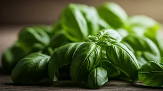 Unlock the Magic of Basil: 5 Unexpected Recipes to Delight Your Taste Buds
