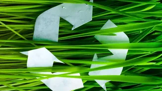 How Water Recycling Could Shape The Future Of Farming On Mars
