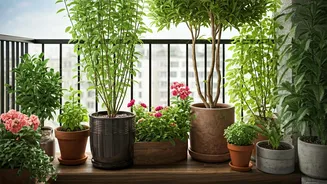 Clean Cuts Are Your Balcony’s Monsoon Defence