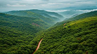 Why Late June Coorg Tariffs Attract Budget Minded