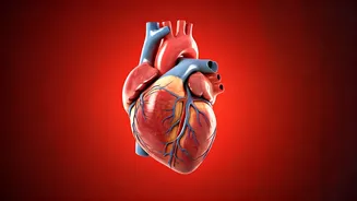 Staying Healthy: A Practical Guide