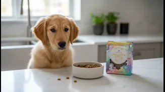 Indian Pet Parents Should Avoid Feeding FOMO