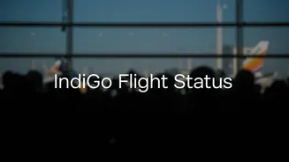 IndiGo Flight Status at Ahmedabad, Hyderabad, Chennai Airports: Check Today’s Flight Cancellations and Passenger Advisory