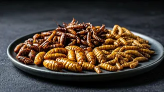 Tamil Cuisine Features Edible Insects