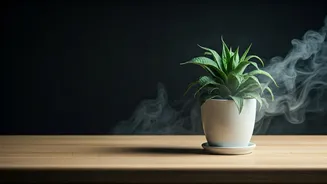 8 Habits Stealing Your Inner Peace: Reclaim Your Calm Today!