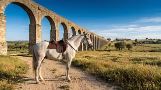 Portugal Horseback Travel Combines Scenic Trails With Historic Sites