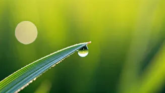 Unlock Your Potential: Don Miguel Ruiz's 'Always Do Your Best' Philosophy