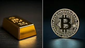 ETFs And Digital Gold Are Not The Same