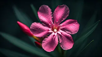 Seven Deceptively Beautiful Plants That Pack a Lethal Punch