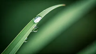 Beat Rainy Season Infections Before They Begin