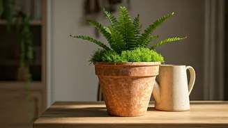 How Moving From Plastic To Handmade Terracotta Heals Your Home