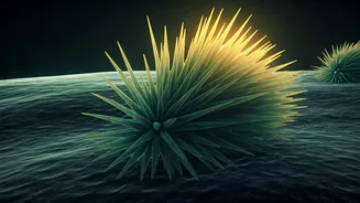 5,500-Year Plague Clue Has Entered The Chat