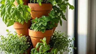 Grow Hyper Local Herbs Using Vertical Terracotta Garden Kits