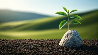 Cultivating Resilience: Mastering Your Temper to Suit Life's Twists