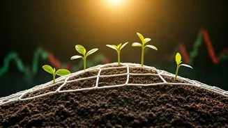 Young Investors Need Safety Nets Before SIP Pride
