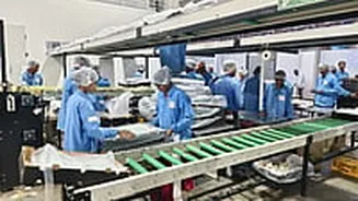 First Grape Shipment Of Season Leaves Nashik For Netherlands, Germany