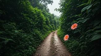 Not Every Tourist Spot Is Monsoon-Friendly