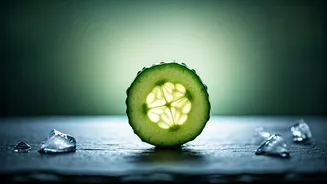 Gut-Friendly Cooling Foods Are India’s Smartest Tradition