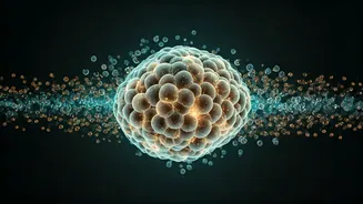 Unlock Your Best Health: Expert Insights on Supplements, Diabetes, Fiber, and More