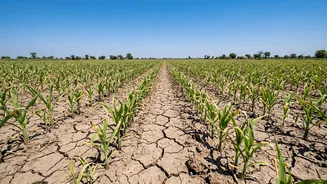 September Weather Check: What A Drier Monsoon Finish Means For Kharif Agriculture
