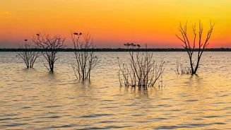 Explore Chennai's Pulicat Lake: A Budget Boost!