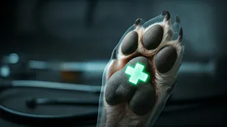 Navigating Pet Health Plans in India: Understanding Coverage and Exclusions