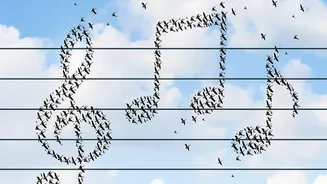 AI Reveals How Songbirds Reuse Sound Patterns Across Different Environments