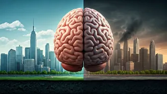 Your Environment's Hidden Impact: How Where You Live Can Accelerate Brain Aging by Nine Times!