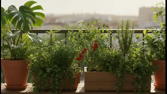 Balcony Gardening Is A Well-Being Practice With Tangible Results