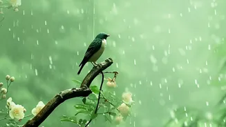 Packing Smart Makes Monsoon Nature Trips Safer And More Comfortable