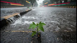Mumbai's Latest Monsoon Disruptions: The Risks, Benefits and Reader Takeaway