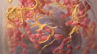 Understanding Temporary Water Weight: How Hormones Affect Temporary Weight Changes
