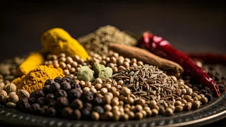 Culinary Delights: Exploring Flavors of India