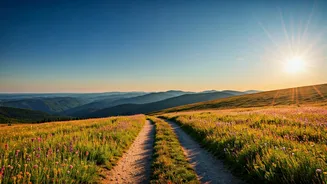 Embrace the Unplanned: Life's Best Adventures and Unexpected Turns