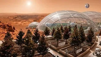 Scientists say fungi Trichoderma and Penicillium could fix Martian soil