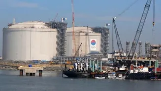 IEA: India's natural gas demand to fall 8% this year
