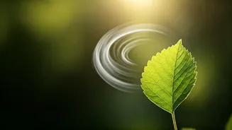 Daily Breathwork Is The Wellness Hack To Watch