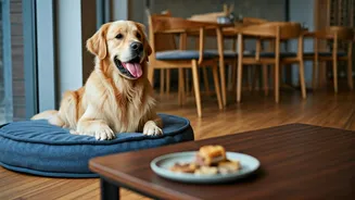 Pet Parents Are Redefining Weekend Outings