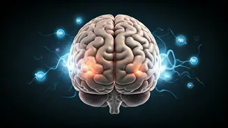 Magnesium's Mighty Role: Unraveling Its Impact on Stress, Sleep, and Migraines