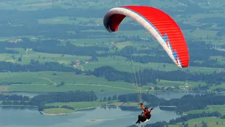 Paraglider Crashes After Take-Off In Himachal's Bir Billing Site: Pilot Killed, Tourist Injured