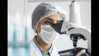 Entenda como os cientistas sabem que descobriram uma espécie inédita