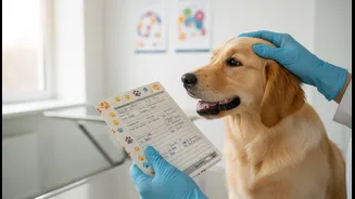Registration can connect pets with vaccination histories: why Pet Registration Beyond Dogs matters